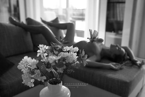 IMG_3038-Modifier
