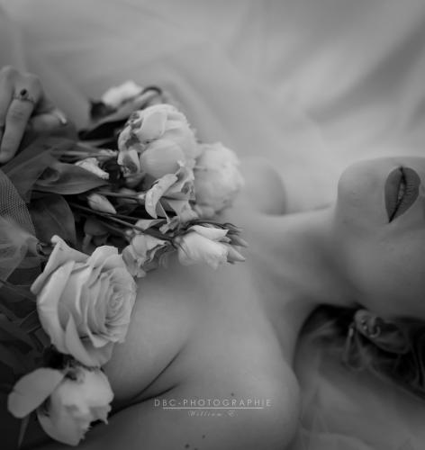 IMG_3695